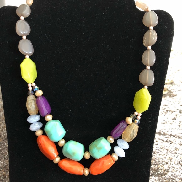 Premier Spring Break - Picture 3 of 6